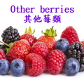 其他莓類