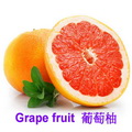 葡萄柚