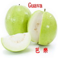 番石榴