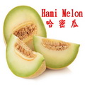 哈密瓜