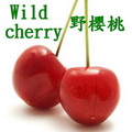 野櫻桃