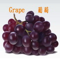 葡萄