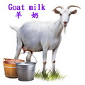 羊奶