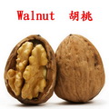 胡桃