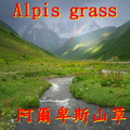 阿爾卑斯山草