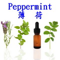 薄荷