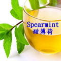 甜薄荷