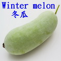 冬瓜