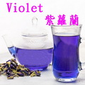紫羅蘭