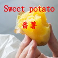 蕃薯類