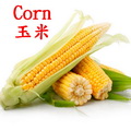 玉米