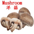 洋菇