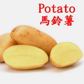 馬鈴薯類