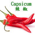 辣椒