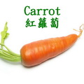 紅蘿蔔