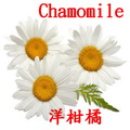 洋柑橘