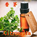 香茅
