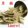 月桂