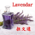 薰衣草
