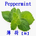 其他薄荷類