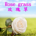 玫瑰草