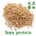 大豆蛋白