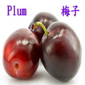 梅子