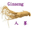 人蔘